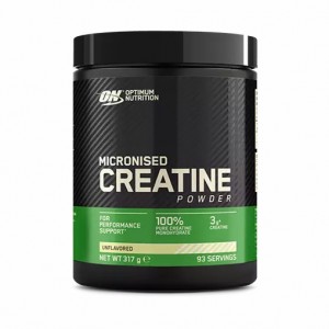 Optimum Nutrition Micronised Creatine Powder 317 grams (93 Servings) Egypt | 1039754-GA