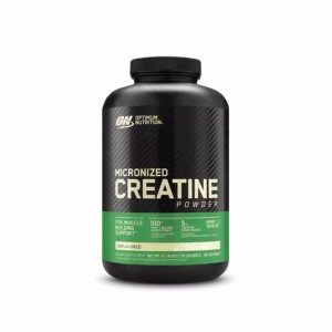 Optimum Nutrition Micronized Creatine Powder Unflavored 1.32 lb (120 Servings) Egypt | 6540739-EB