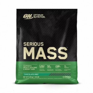 Optimum Nutrition Serious Mass Gainer Chocolate Mint 5.45 kg (16 Servings) Egypt | 9713685-QL