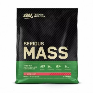 Optimum Nutrition Serious Mass Gainer Strawberry 5.45 kg (16 Servings) Egypt | 0743156-QE