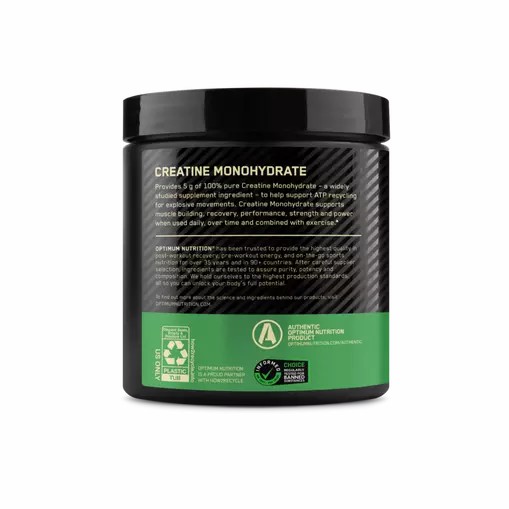 Optimum Nutrition Micronized Creatine Powder Unflavored 0.66 lb (60 Servings) Egypt | 8029431-BL