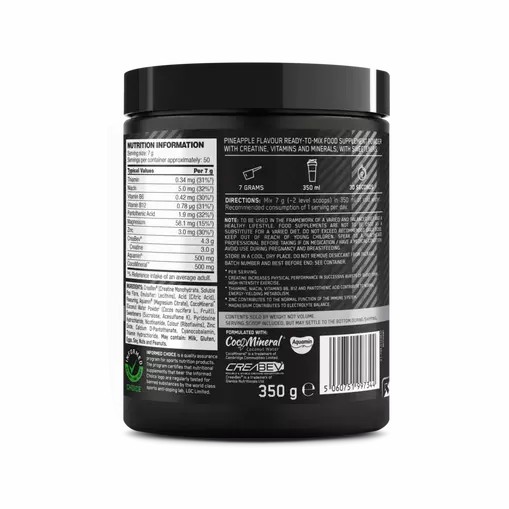 Optimum Nutrition Platinum Creatine Plus Pineapple 350 grams (50 Servings) Egypt | 3691408-CH